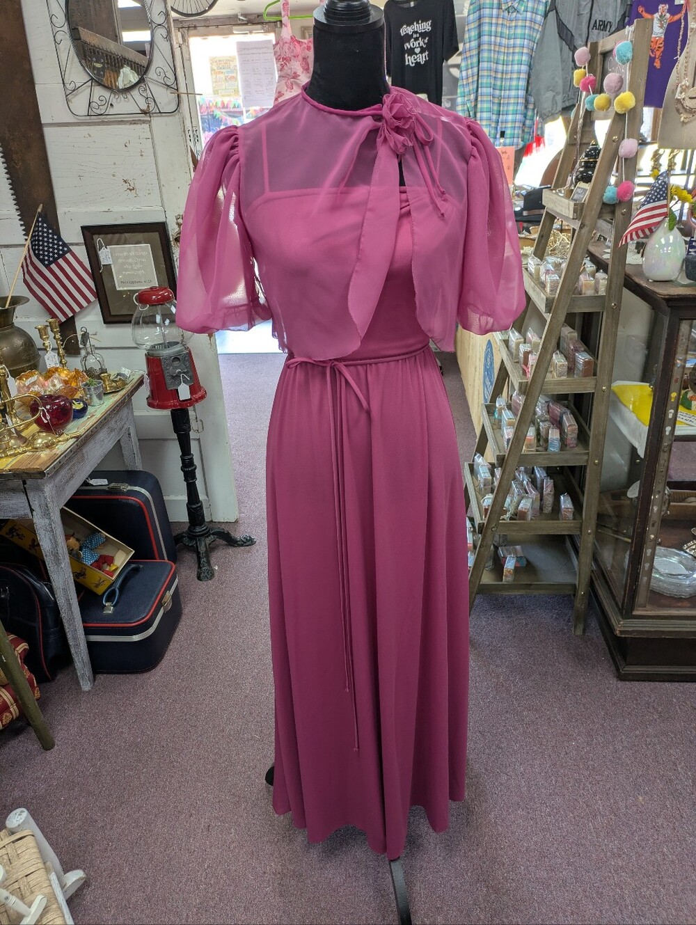 1970s Vintage House Of Bianchi Elegant Chiffon Tie-Neck Maxi Dress